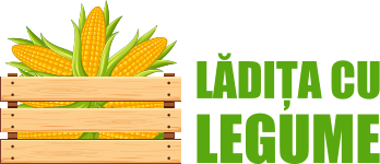 Lădița cu Legume - Cocoș Ionuț-Aurelian II