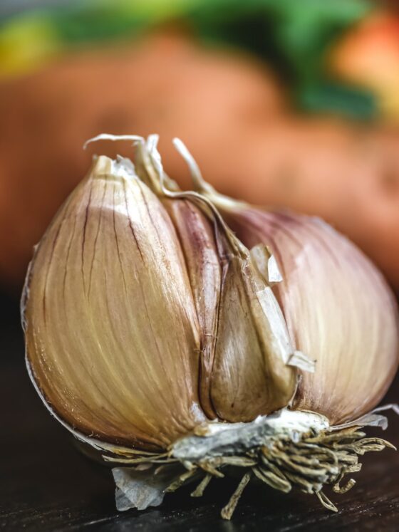 usturoi-producator-agricol